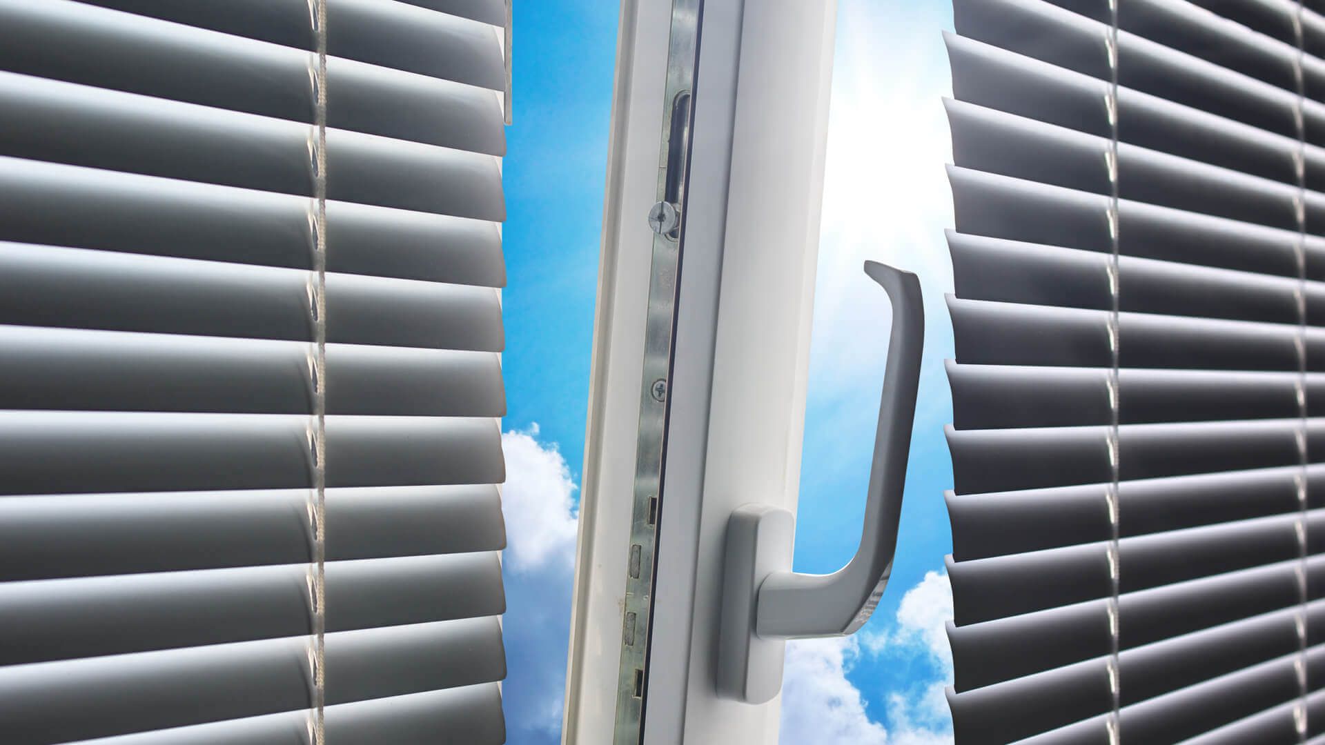 Foto (Rollladenreinigung)