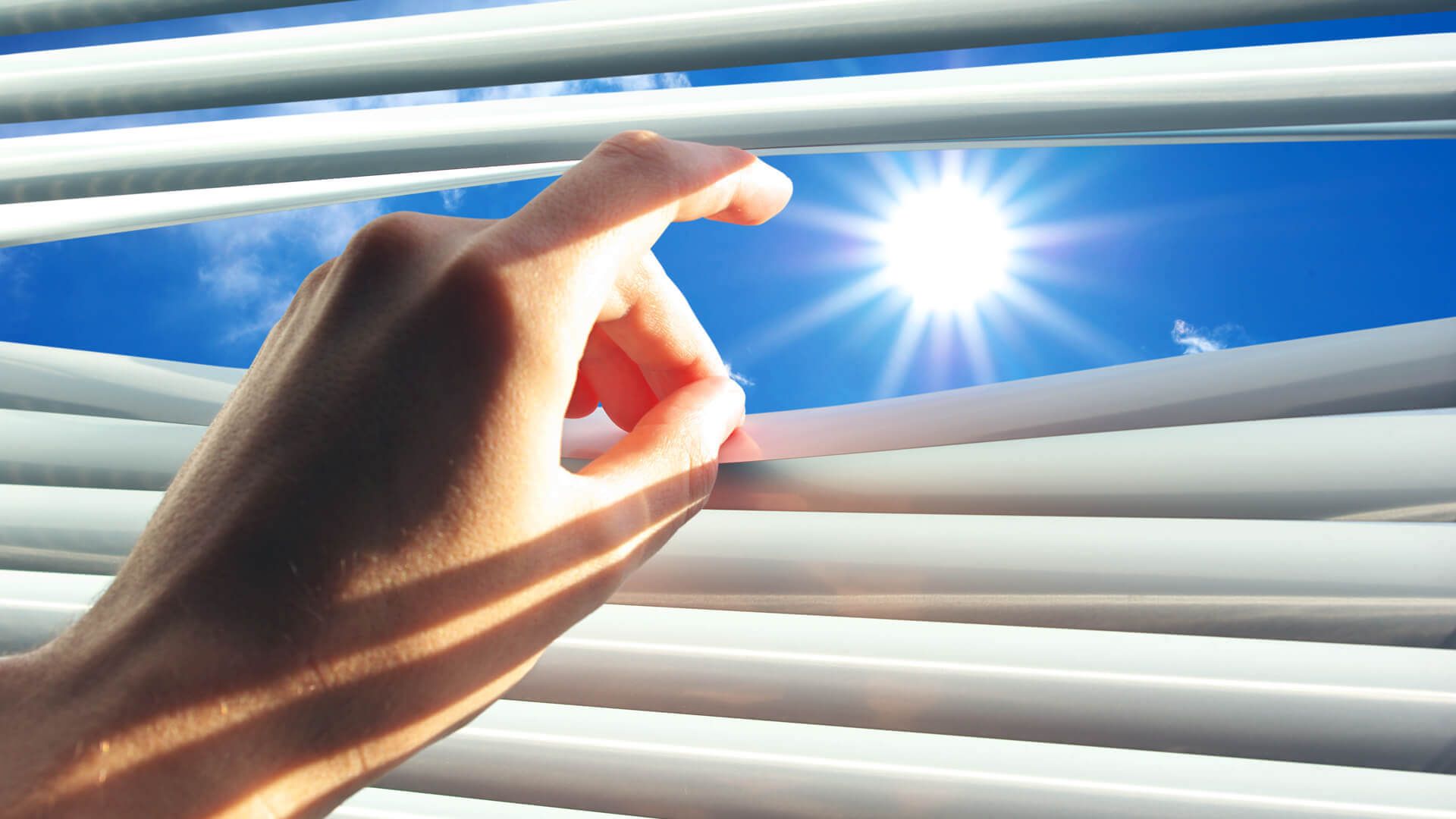 Foto (Außenjalousienreinigung)